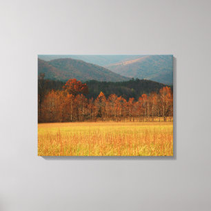 USA, Tennessee. Cades Cove in der Smoky Mountain Leinwanddruck