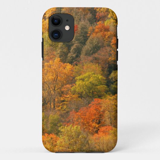 USA, Tennessee. Fall Foliage 2 Case-Mate iPhone Hülle (Rückseite)