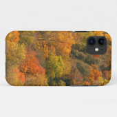 USA, Tennessee. Fall Foliage 2 Case-Mate iPhone Hülle (Rückseite (Horizontal))