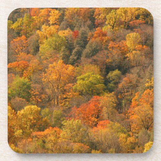 USA, Tennessee. Fall Foliage 2 Getränkeuntersetzer (Vorderseite)