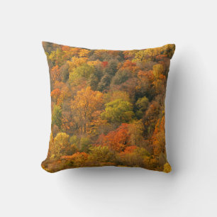 USA, Tennessee. Fall Foliage 2 Kissen