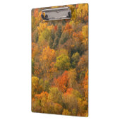 USA, Tennessee. Fall Foliage 2 Klemmbrett (Links)