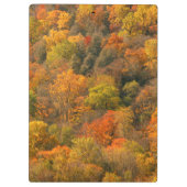 USA, Tennessee. Fall Foliage 2 Klemmbrett (Rückseite)