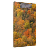USA, Tennessee. Fall Foliage 2 Klemmbrett (Rechts)