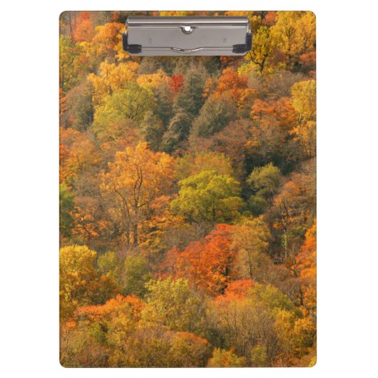 USA, Tennessee. Fall Foliage 2 Klemmbrett (Vorderseite)