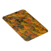 USA, Tennessee. Fall Foliage 2 Magnet (Rechte Seite)