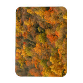 USA, Tennessee. Fall Foliage 2 Magnet (Vertikal)