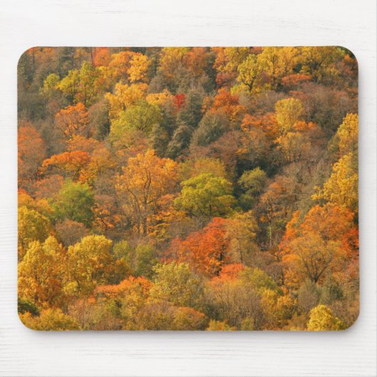 USA, Tennessee. Fall Foliage 2 Mousepad (Vorne)