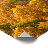 USA, Tennessee. Fall Foliage 2 Poster (Ecke)