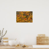 USA, Tennessee. Fall Foliage 2 Poster (Küche)