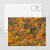 USA, Tennessee. Fall Foliage 2 Postkarte (Vorne/Hinten)
