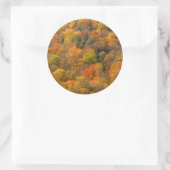 USA, Tennessee. Fall Foliage 2 Runder Aufkleber (Tasche)