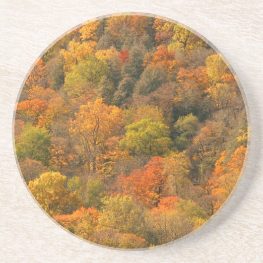 USA, Tennessee. Fall Foliage 2 Sandstein Untersetzer (Vorne)