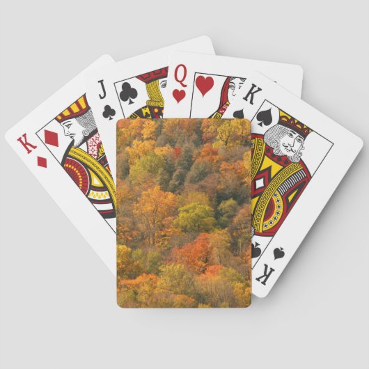 USA, Tennessee. Fall Foliage 2 Spielkarten (Rückseite)