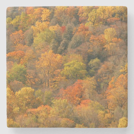USA, Tennessee. Fall Foliage 2 Steinuntersetzer (Vorderseite)