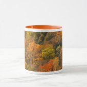 USA, Tennessee. Fall Foliage 2 Tasse (Zentrum)