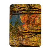 USA, Tennessee. Fall Foliage Magnet (Vertikal)