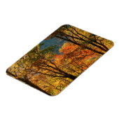 USA, Tennessee. Fall Foliage Magnet (Linke Seite)