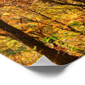 USA, Tennessee. Fall Foliage Poster (Ecke)
