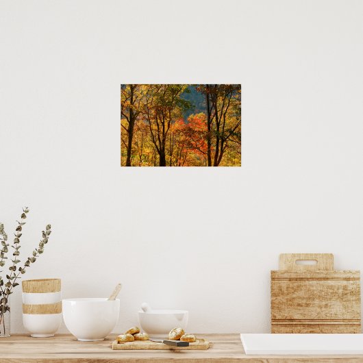 USA, Tennessee. Fall Foliage Poster (Küche)