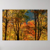 USA, Tennessee. Fall Foliage Poster (Vorne)