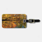 USA, Tennessee. Fallfolien Gepäckanhänger (Vorderseite horizontal)