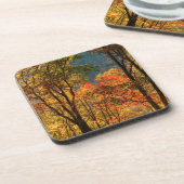 USA, Tennessee. Fallfolien Getränkeuntersetzer (Linke Seite)