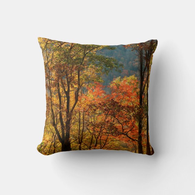 USA, Tennessee. Fallfolien Kissen (Vorderseite)