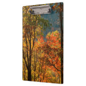 USA, Tennessee. Fallfolien Klemmbrett (Links)