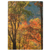 USA, Tennessee. Fallfolien Klemmbrett (Rückseite)