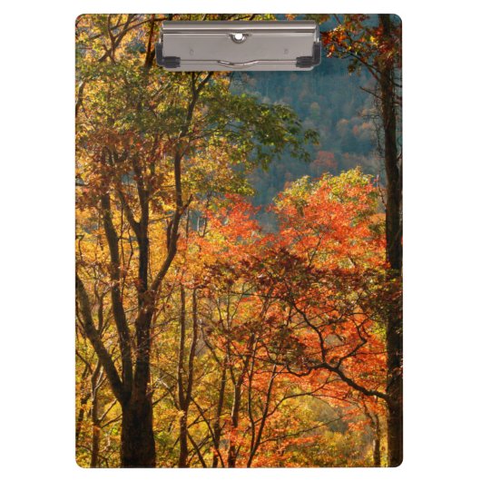 USA, Tennessee. Fallfolien Klemmbrett (Vorderseite)