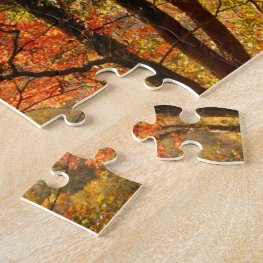 USA, Tennessee. Fallfolien Puzzle (Seite)