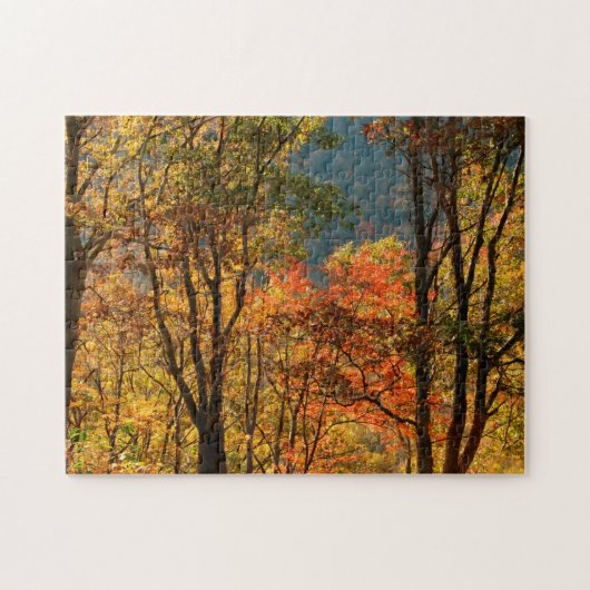 USA, Tennessee. Fallfolien Puzzle (Horizontal)