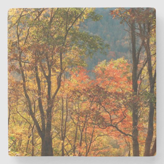 USA, Tennessee. Fallfolien Steinuntersetzer (Vorderseite)