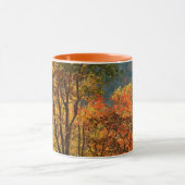 USA, Tennessee. Fallfolien Tasse (Zentrum)