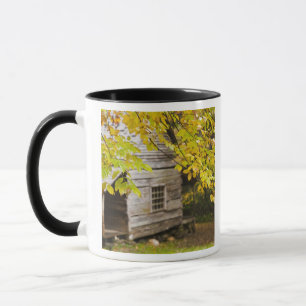 USA, Tennessee, Gatlinburg. Great Smoky Tasse