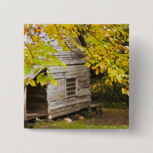 USA, Tennessee, Gatlinburg. Große Smoke Button (Vorderseite)