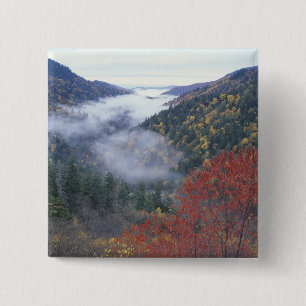 USA, Tennessee, Great Smokey Mountains National Button