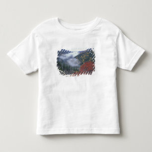 USA, Tennessee, Great Smokey Mountains National Kleinkind T-shirt