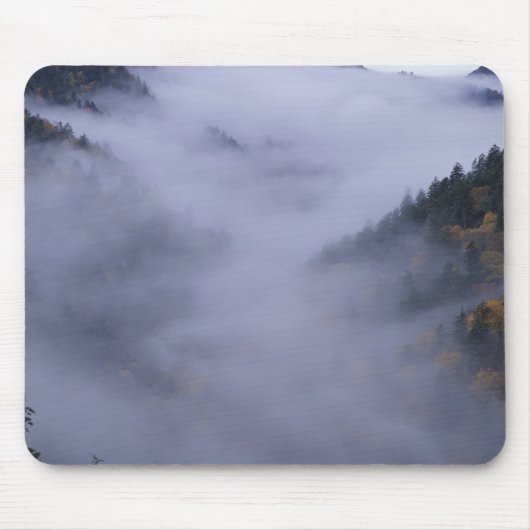 USA, Tennessee. Great Smokey Mountains National Mousepad (Vorne)