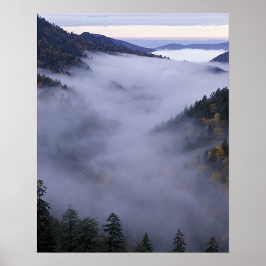 USA, Tennessee. Great Smokey Mountains National Poster (Vorne)