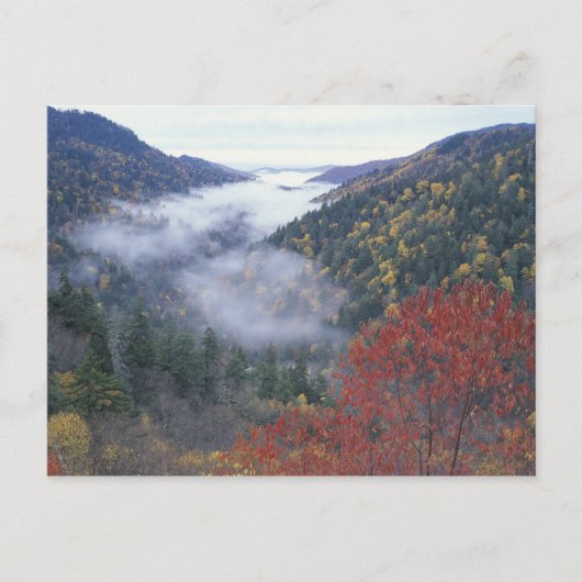 USA, Tennessee, Great Smokey Mountains National Postkarte (Vorderseite)