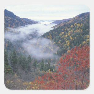 USA, Tennessee, Great Smokey Mountains National Quadratischer Aufkleber