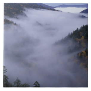 USA, Tennessee. Great Smokey Mountains Nationalpar Fliese