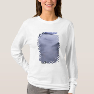 USA, Tennessee. Great Smokey Mountains Nationalpar T-Shirt