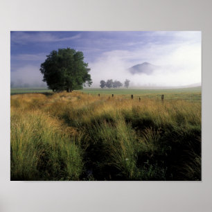 USA, Tennessee, Great Smokey Mountains Poster