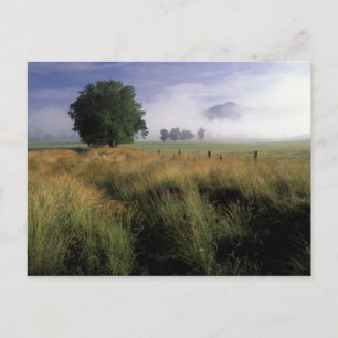 USA, Tennessee, Great Smokey Mountains Postkarte