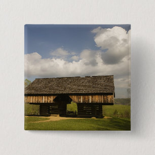 USA, Tennessee, Great Smoky Mountain NP. Button