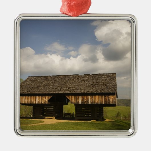 USA, Tennessee, Great Smoky Mountain NP. Silbernes Ornament (Vorne)