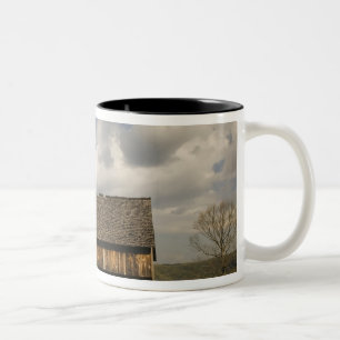 USA, Tennessee, Great Smoky Mountain NP. Zweifarbige Tasse